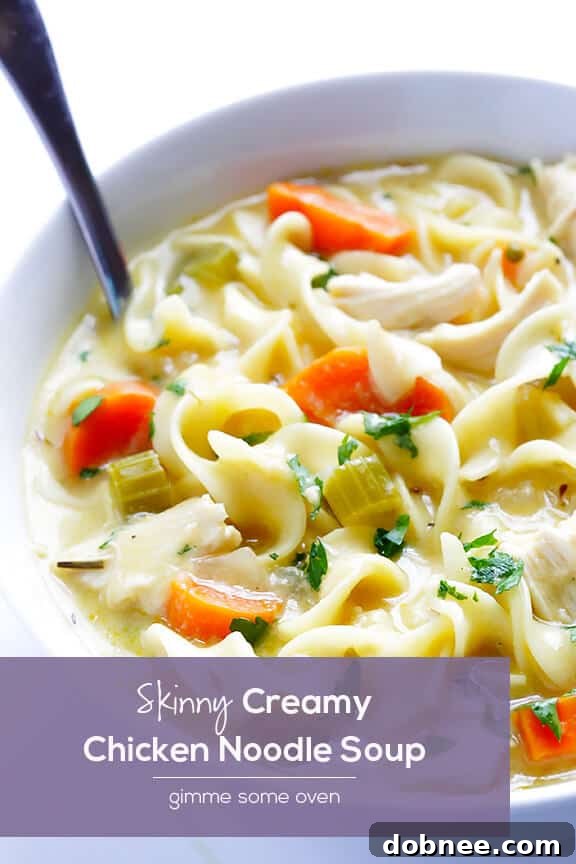 A top-down view of Skinny Creamy Chicken Noodle Soup in a rustic bowl with a spoon.