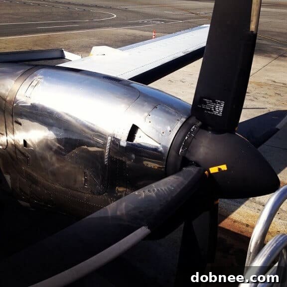 Harry & David Tour: Behind the Scenes of Pear Harvesting and Chocolate Making in Southern Oregon | Blogger Event Highlights