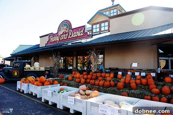 Shopping Spree: Harry & David Country Village Store with Blogger Friends