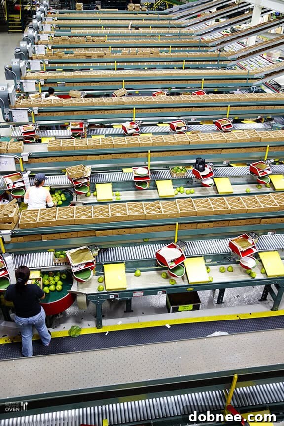 Behind the Scenes: Tour of the Harry & David Packing Plant for Produce and Baskets