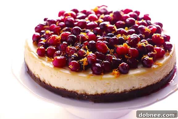 Delicious Cranberry Orange Cheesecake ready for serving