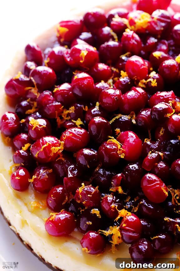 Beautifully decorated Cranberry Orange Cheesecake