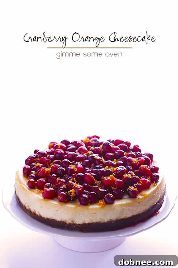Sliced Cranberry Orange Cheesecake with extra cranberries and orange zest