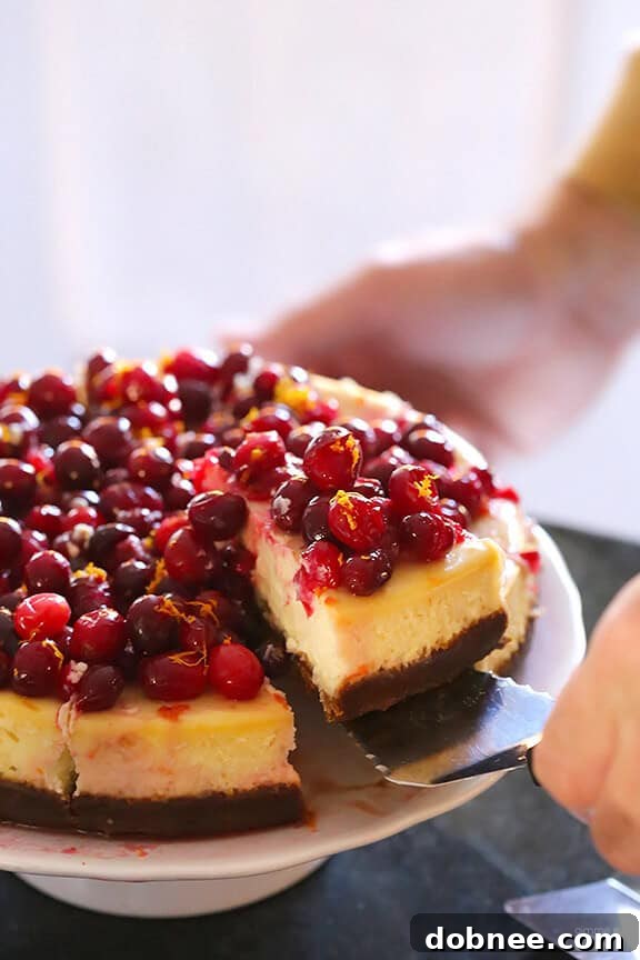 Ingredients laid out for Cranberry Orange Cheesecake