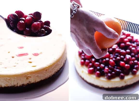 Baked Cranberry Orange Cheesecake in springform pan