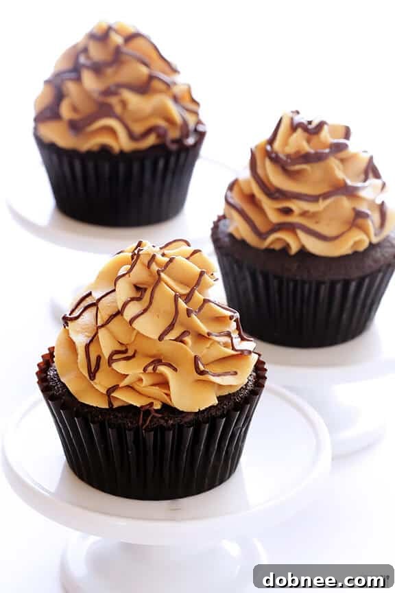Plain Chocolate Peanut Butter Cupcakes without drizzle