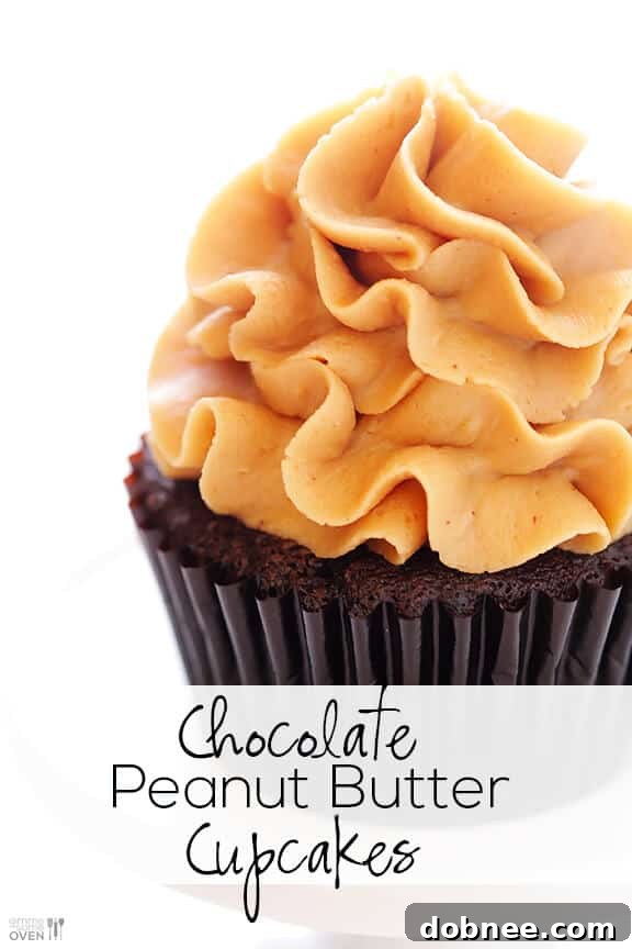 Two Chocolate Peanut Butter Cupcakes displayed beautifully