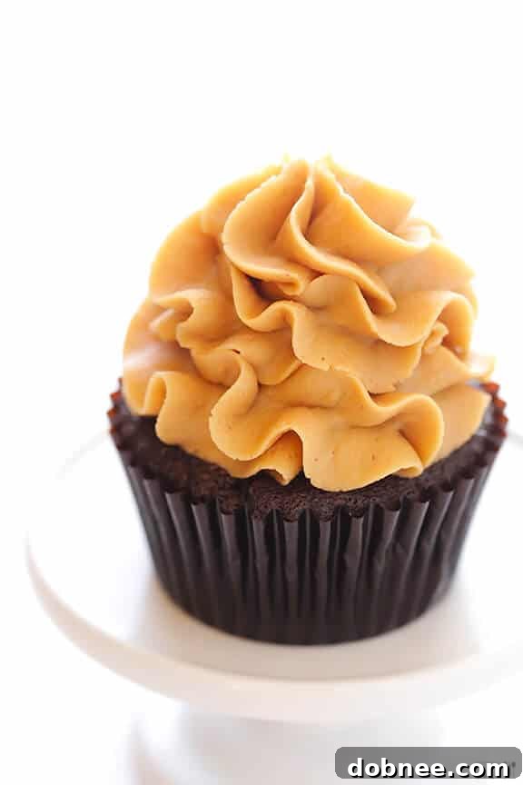 Chocolate Peanut Butter Cupcakes ready for sharing