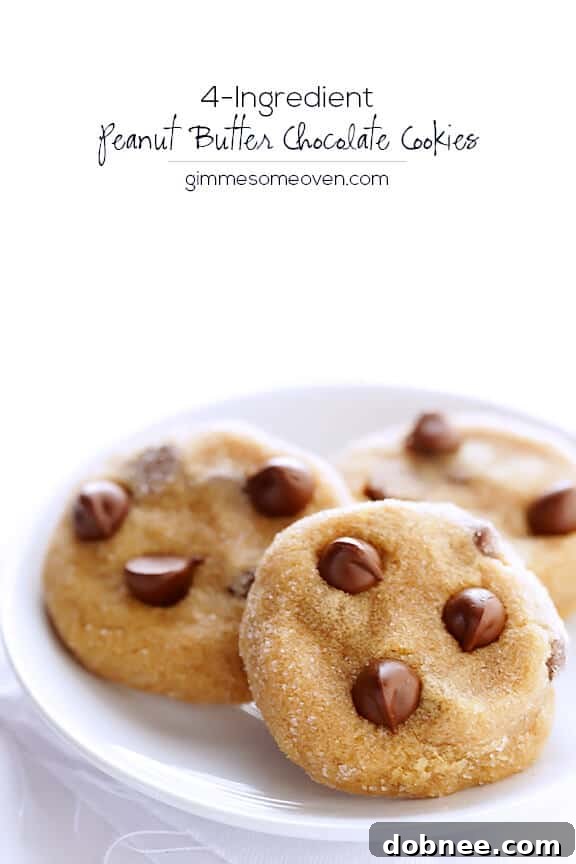Close-up of Peanut Butter Chocolate Chip Cookies