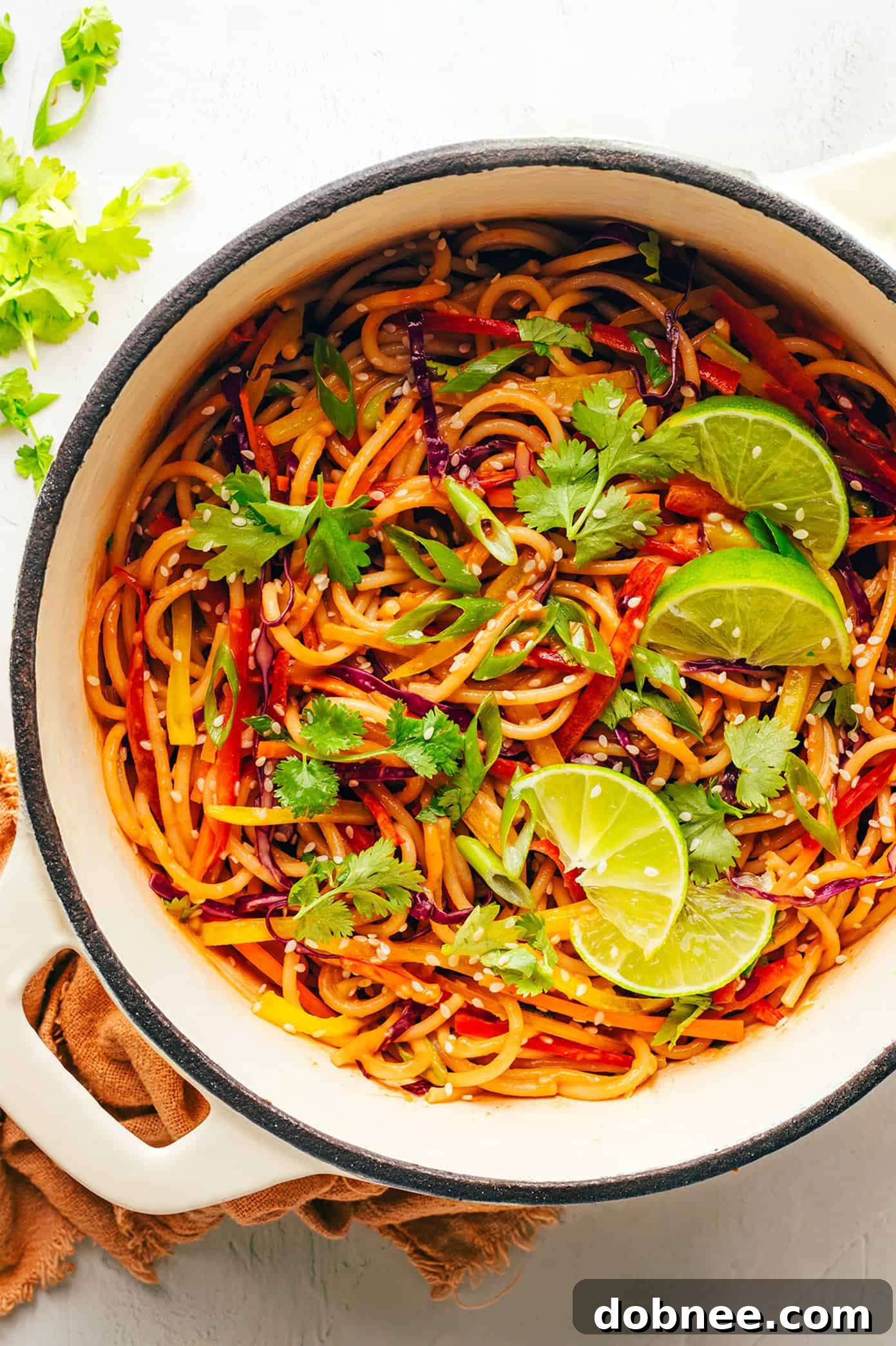 Rainbow Peanut Noodles, a vibrant and healthy dish