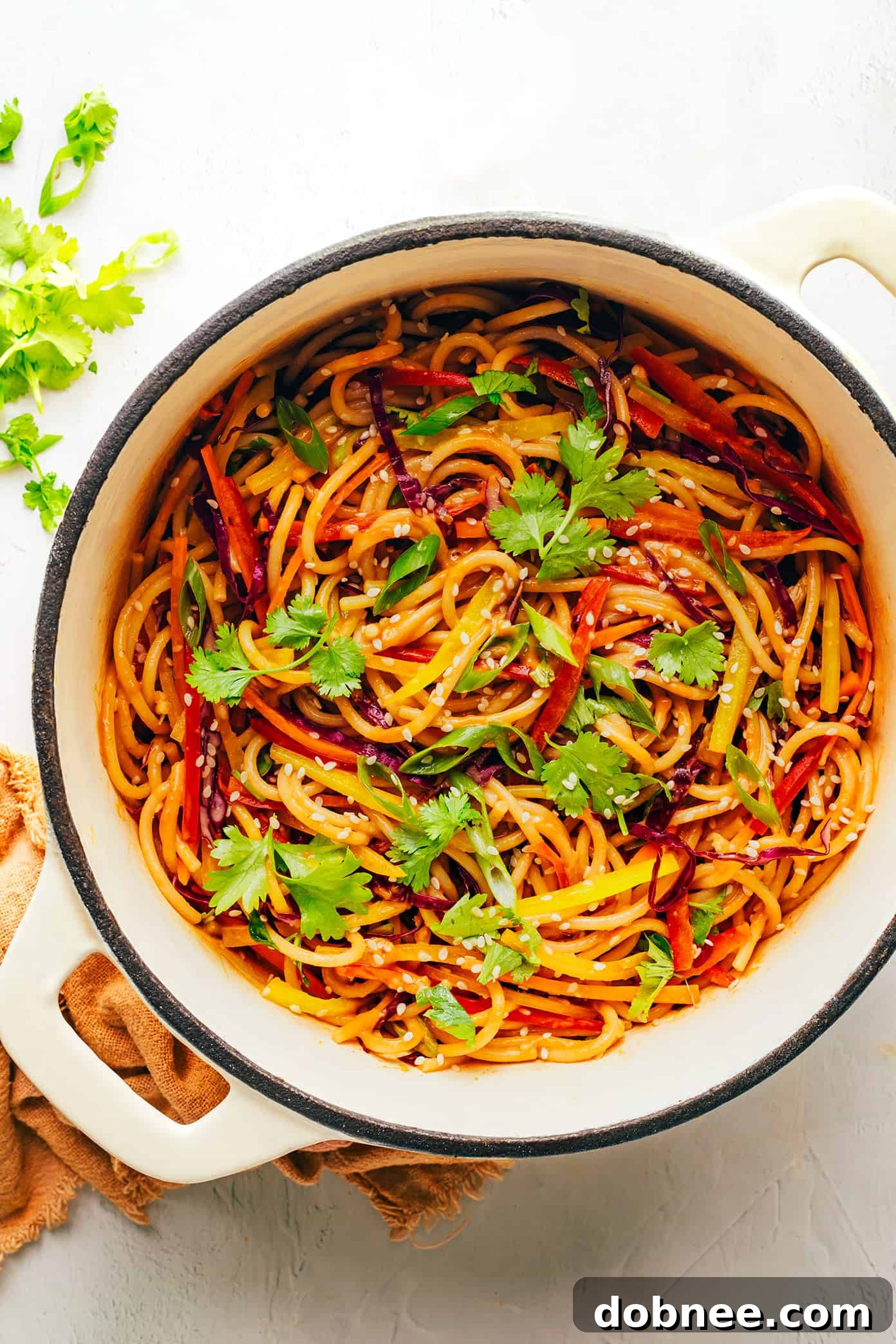 Rainbow Peanut Noodles with fresh cilantro garnish