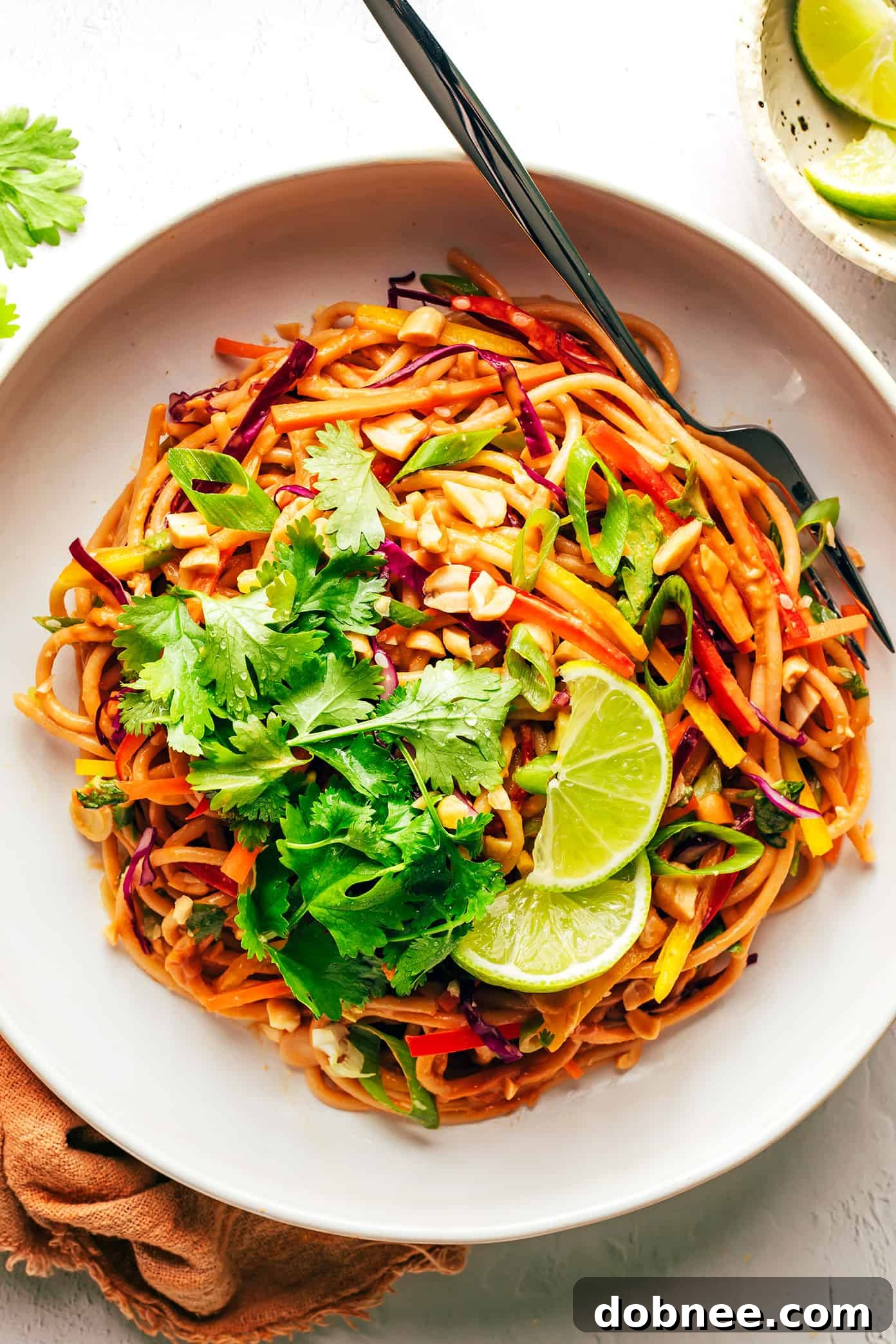 Bowl of rainbow peanut noodles garnished with lime, cilantro and peanuts