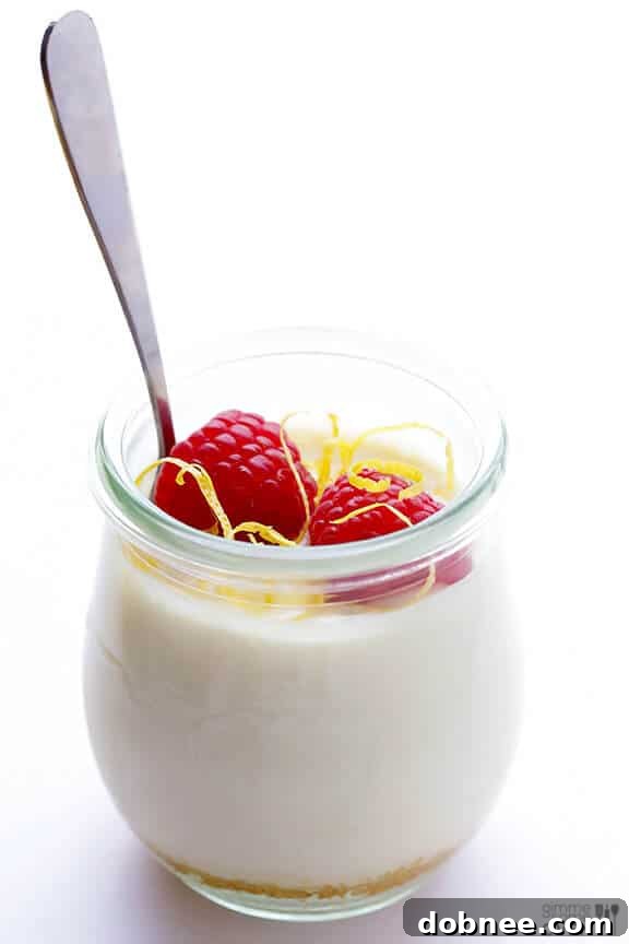 Close-up of a Single Serving Lighter No-Bake Cheesecake