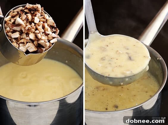 Simmering Condensed Cream of Mushroom Soup