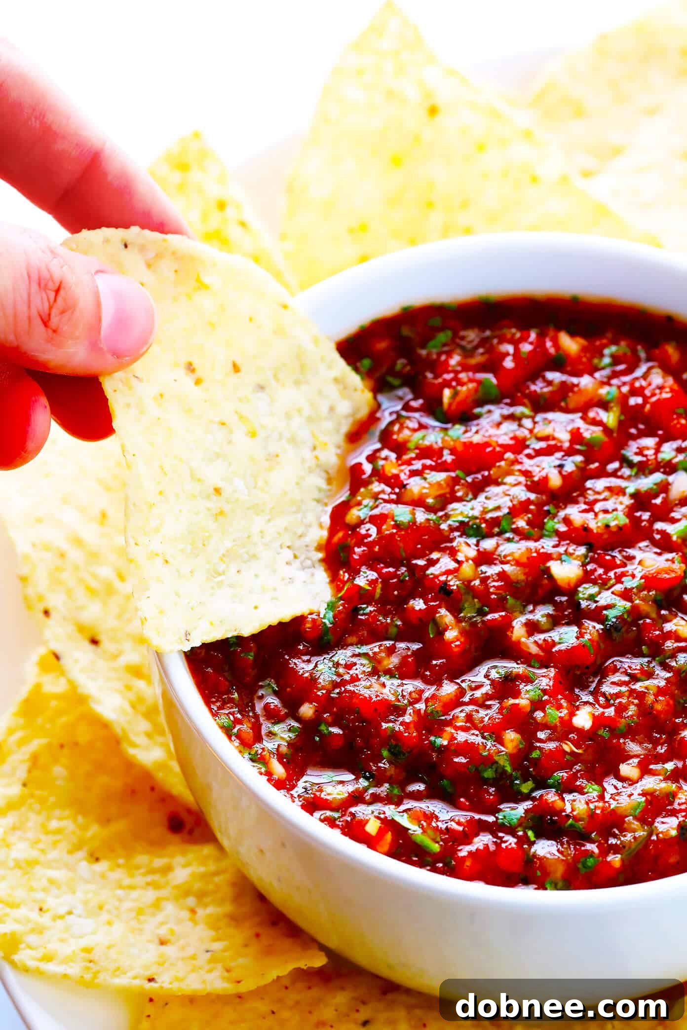 Chips and the BEST homemade restaurant-style salsa recipe