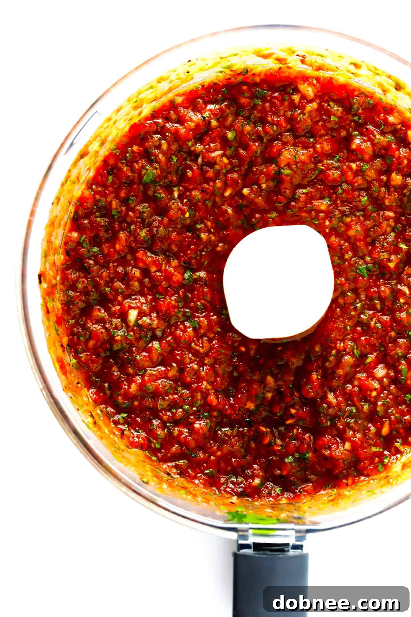 Blended homemade salsa