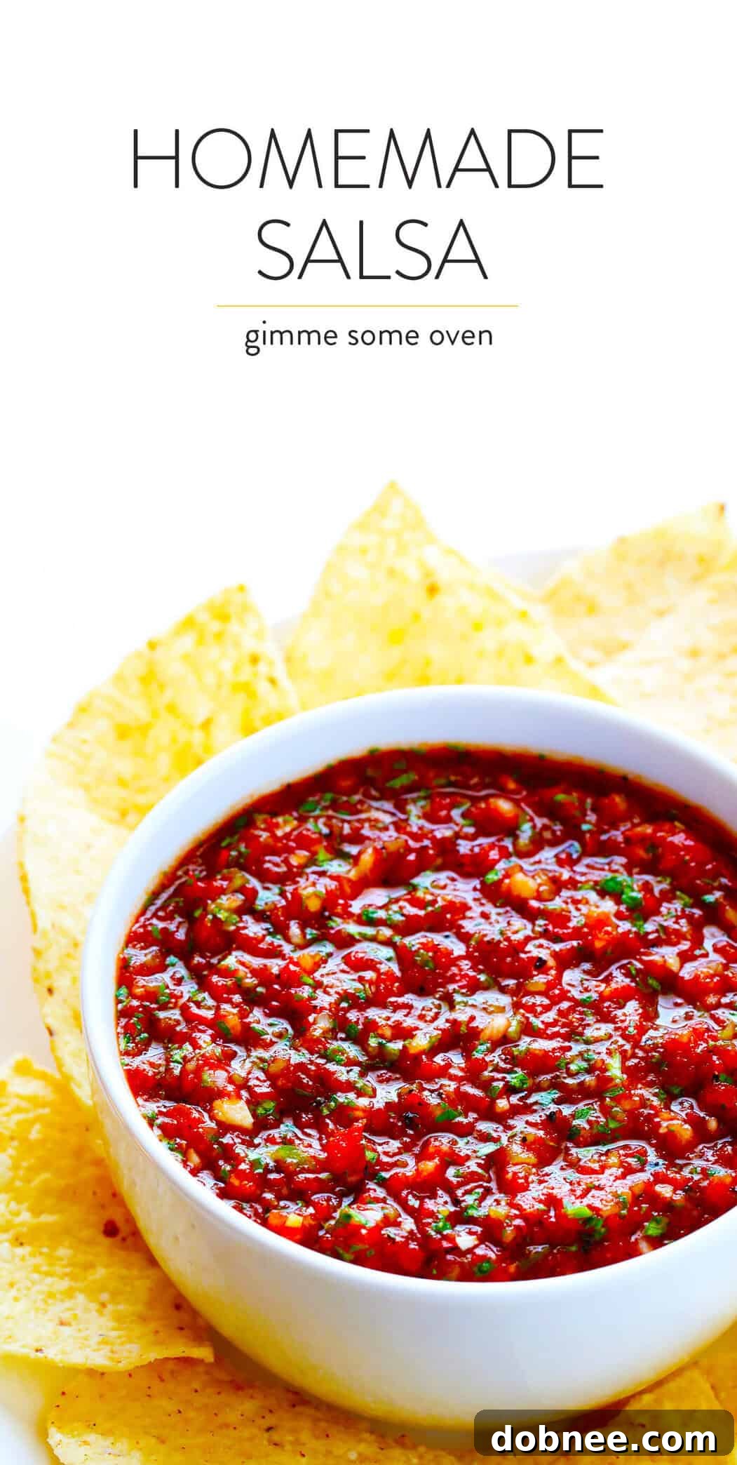 The BEST homemade salsa recipe