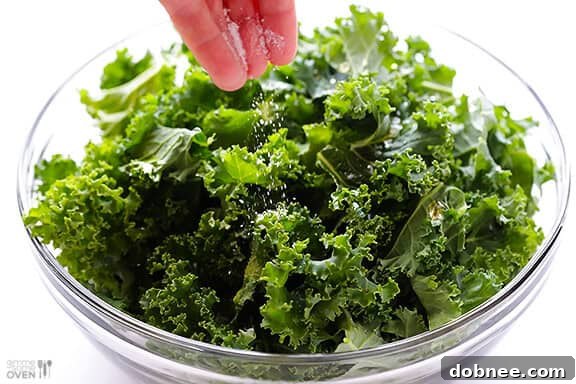 Sea Salt and Vinegar Kale Chips | gimmesomeoven.com #vegan #glutenfree
