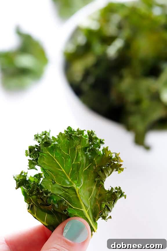 Sea Salt and Vinegar Kale Chips | gimmesomeoven.com #vegan #glutenfree