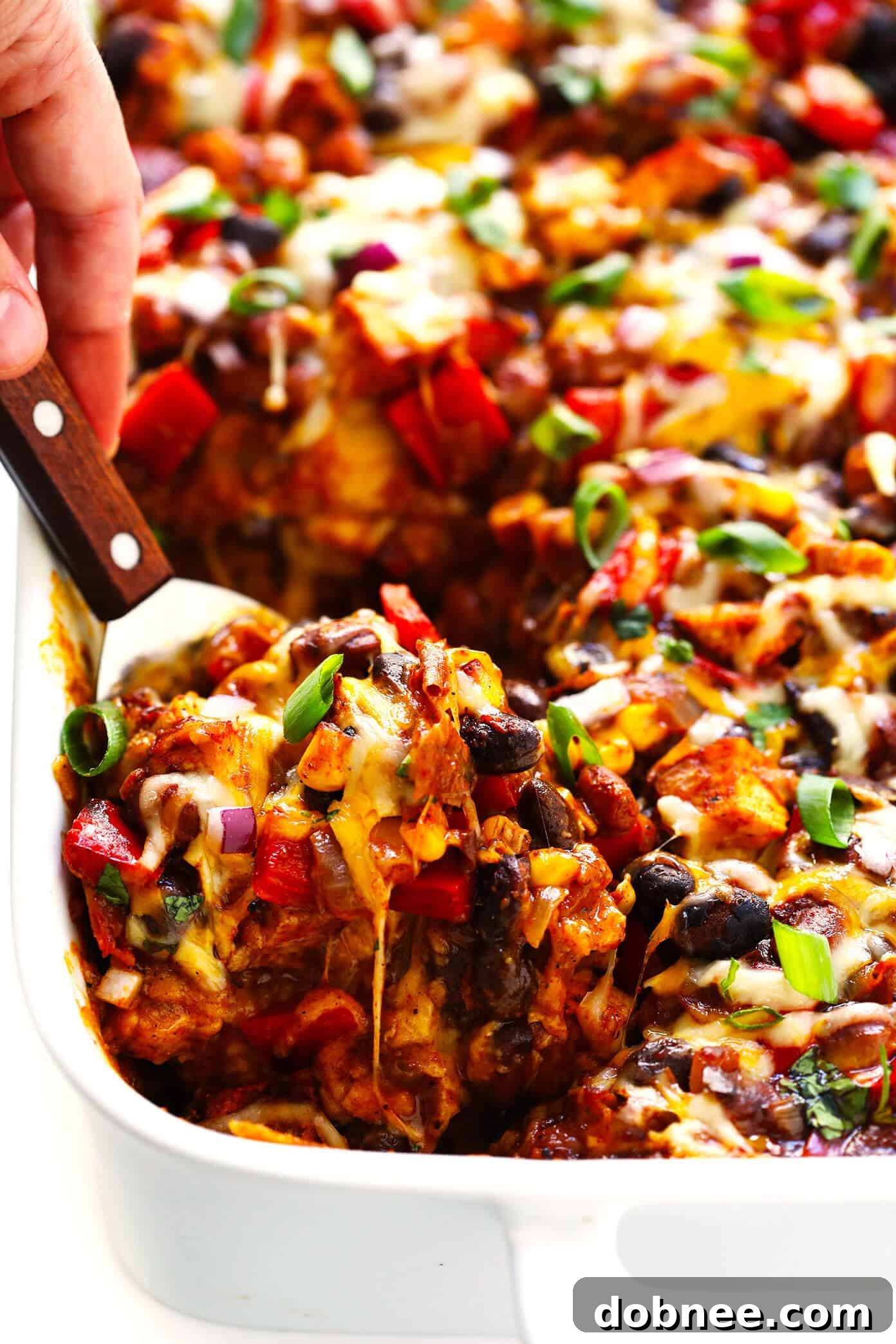 The BEST Chicken Enchilada Casserole Recipe
