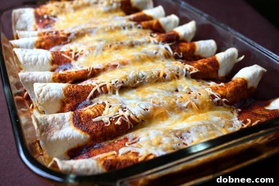 The Best Chicken Enchiladas Ever, a top-rated Mexican-inspired dinner recipe.