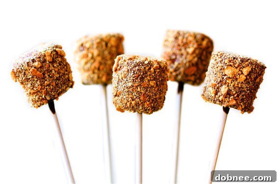 Fun and easy S'mores Pops, a delightful dessert treat.