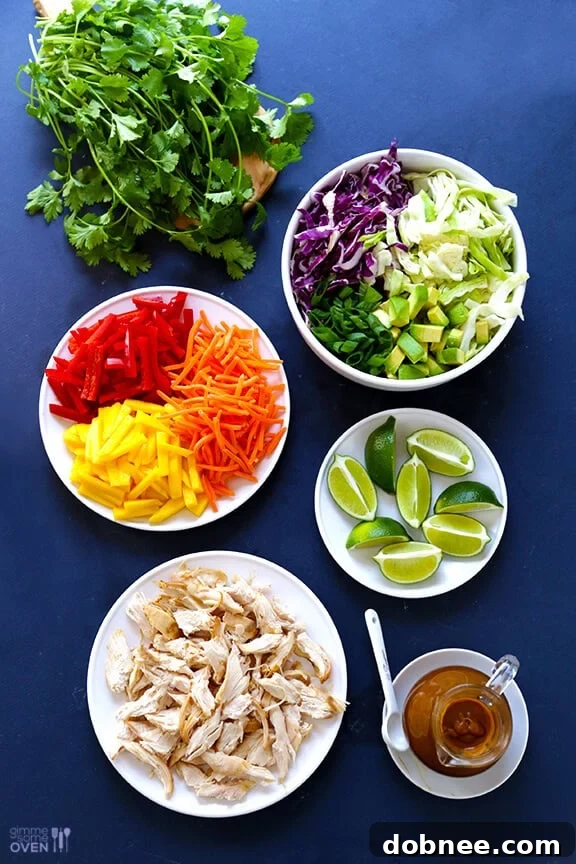 Ingredients for Rainbow Thai Chicken Salad