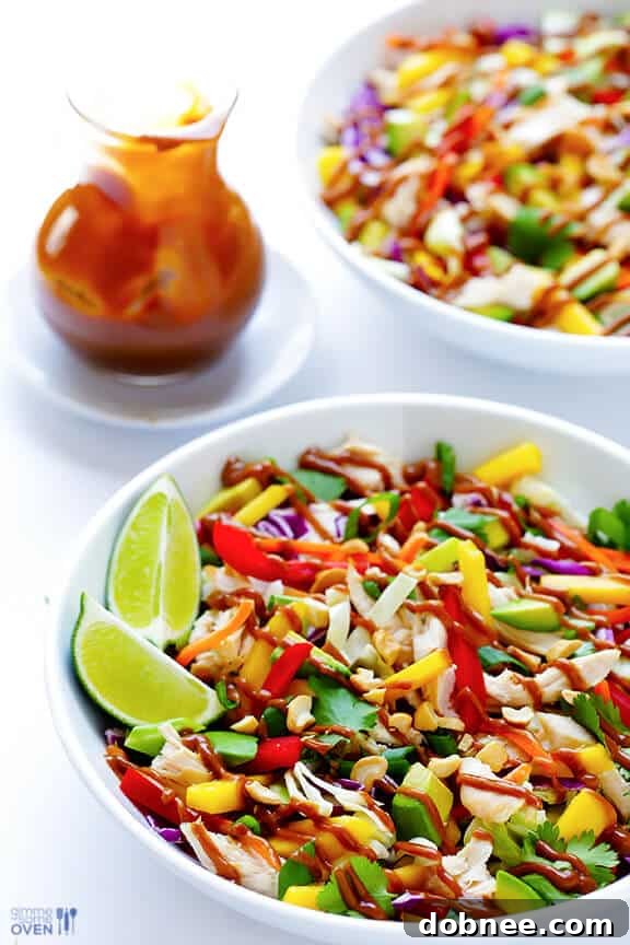 Rainbow Thai Chicken Salad with Peanut Dressing Drizzle