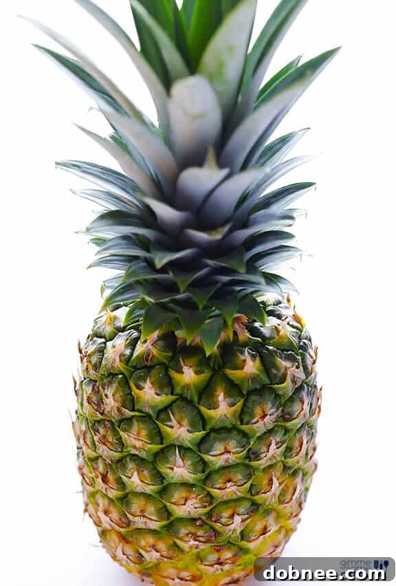 Easy Rum-Soaked Grilled Pineapple served in a bowl with vanilla ice cream and caramelized rum sauce.