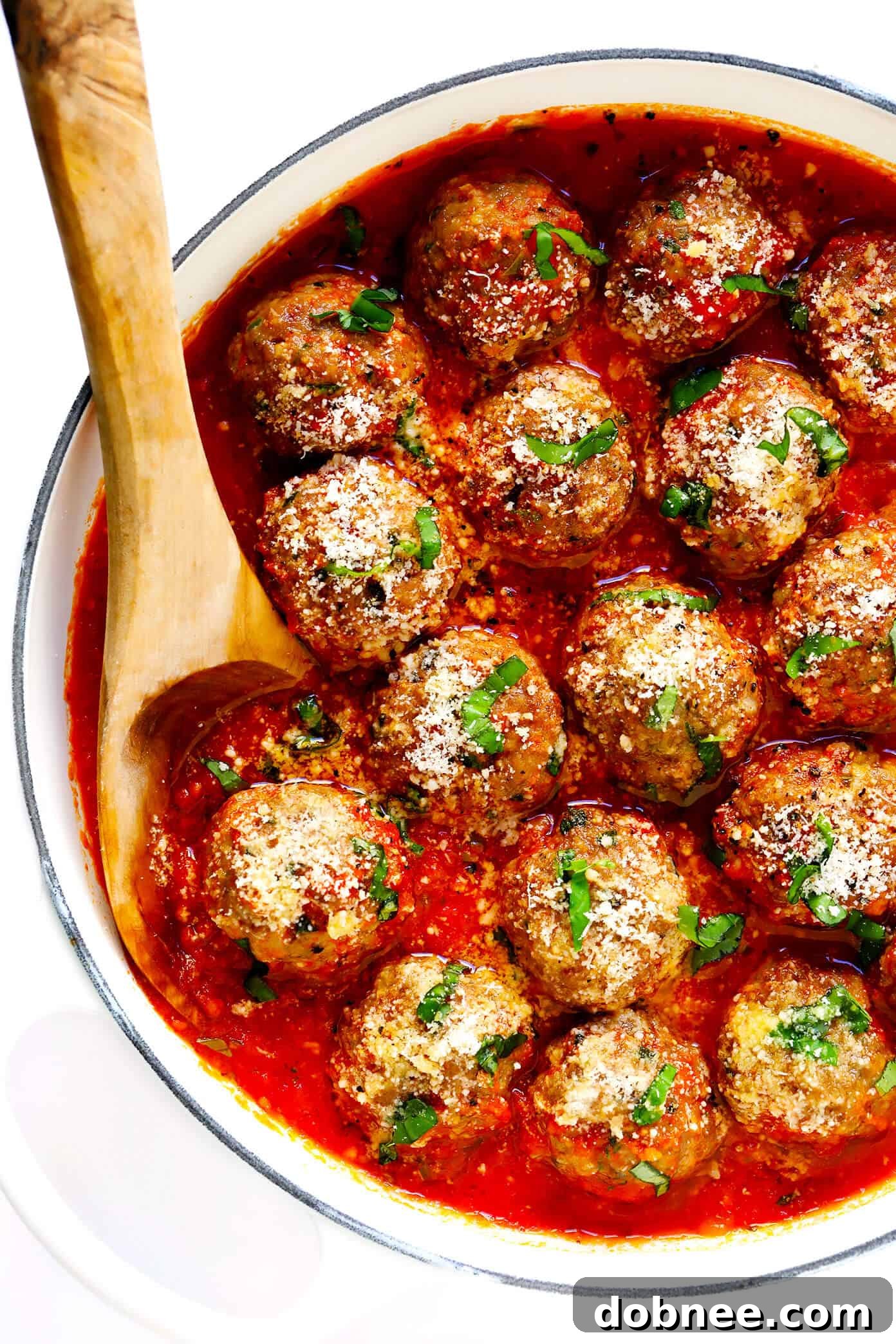 Meatballs with Marinara Sauce