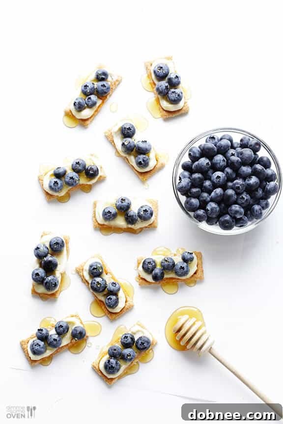 Finished plate of easy blueberry cheesecake bites, ready to enjoy.