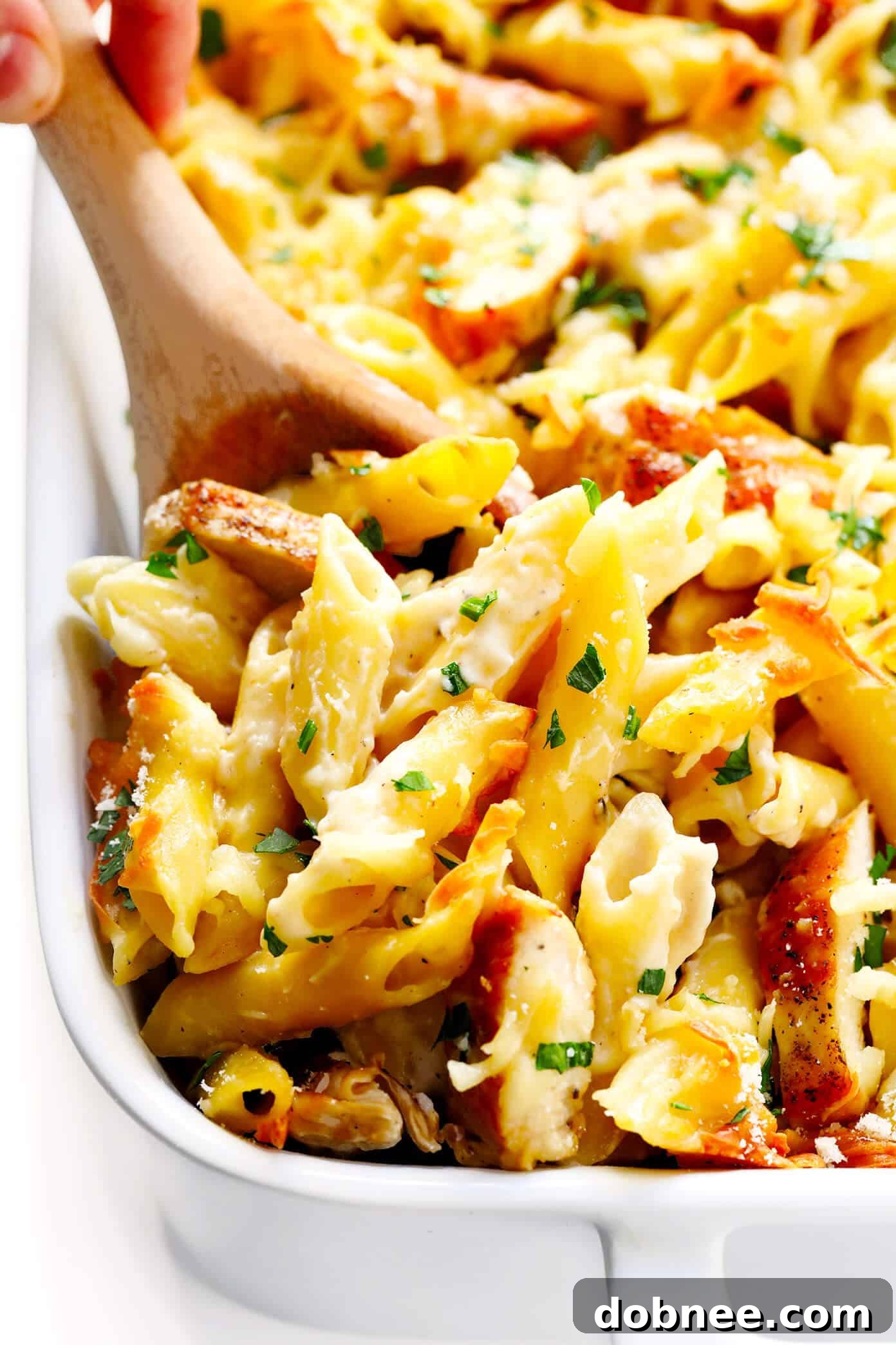 Delicious Chicken Alfredo Baked Ziti Casserole