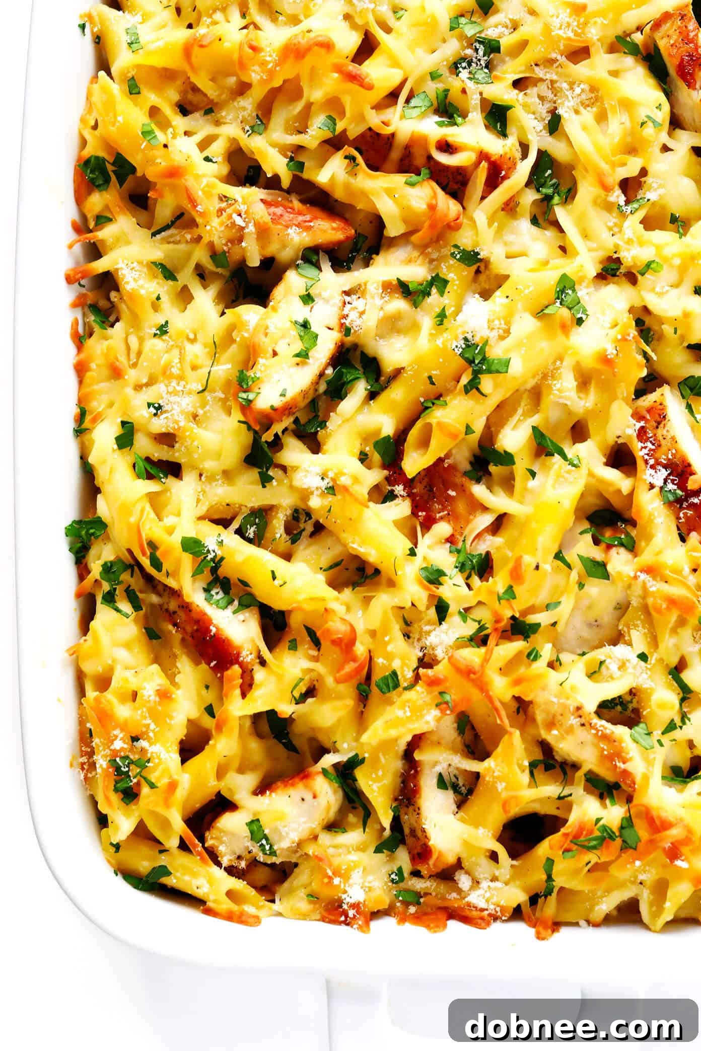 Baked Chicken Alfredo Ziti Casserole