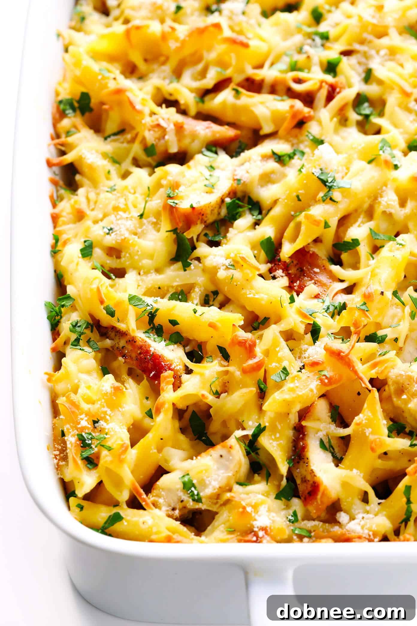 Close-up of Baked Chicken Alfredo Ziti