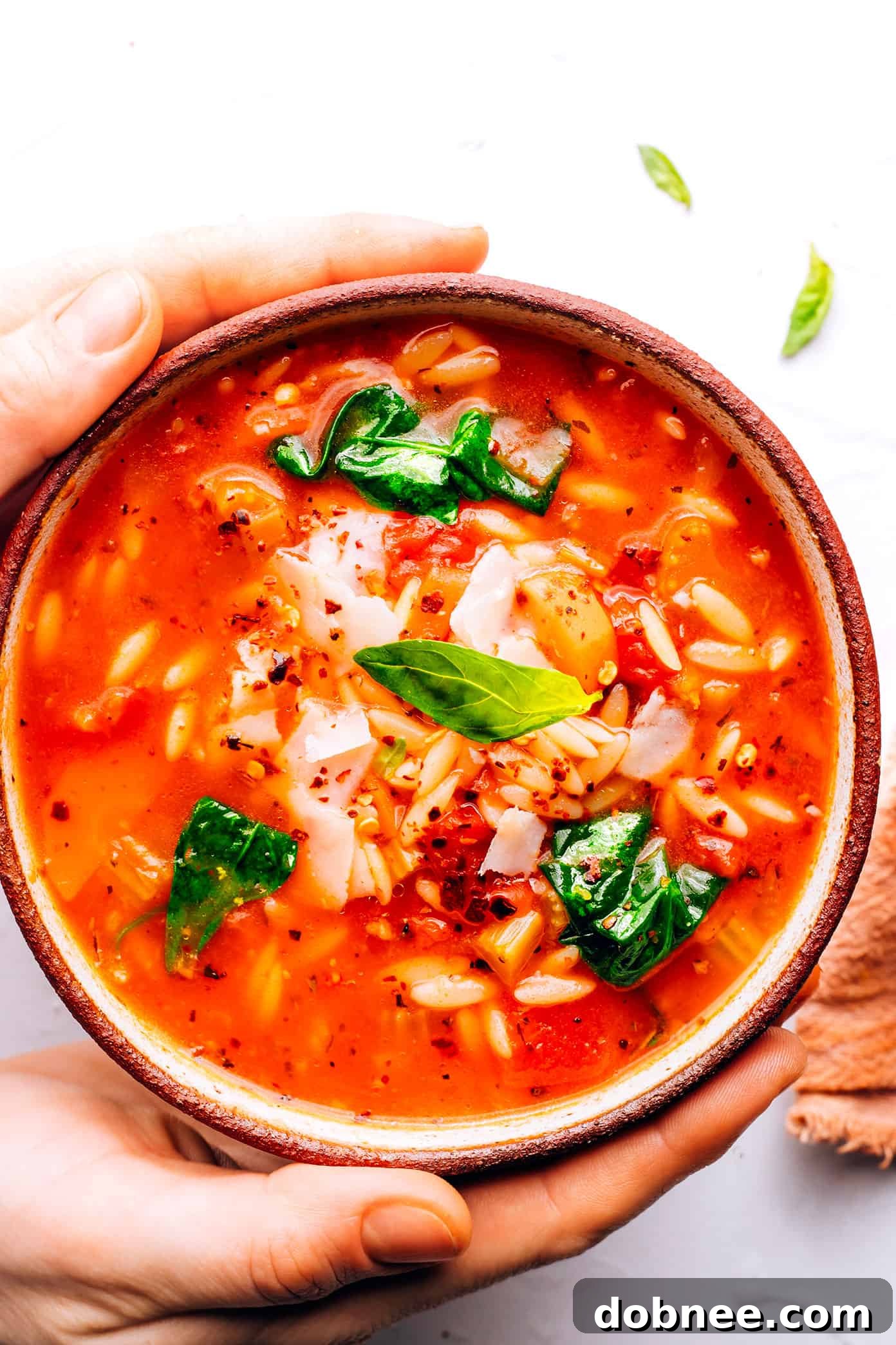 A beautifully presented bowl of Italian Orzo Spinach Soup with fresh toppings