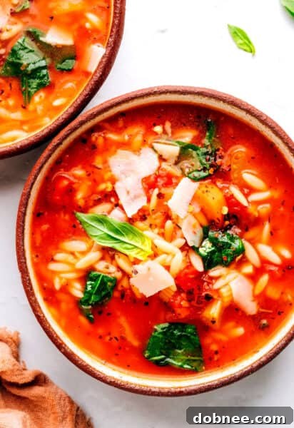 Italian Orzo Spinach Soup