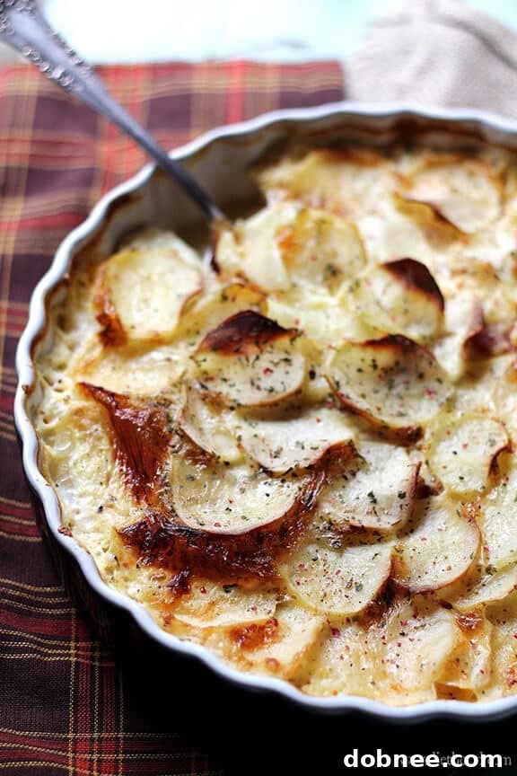 Savory Gluten-Free Loaded Baked Potato Casserole