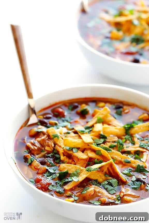 Slow Cooker Chicken Enchilada Soup | Delicious and Easy Crockpot Recipe