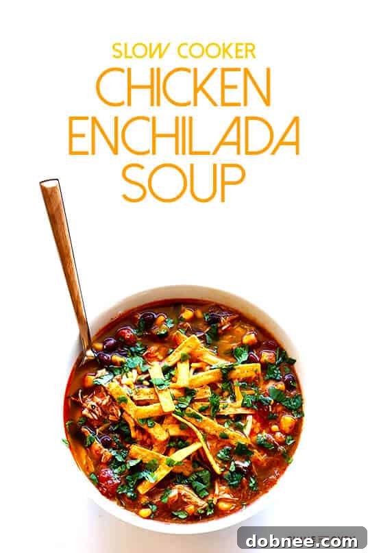 Slow Cooker Chicken Enchilada Soup | Delicious Dinner Idea
