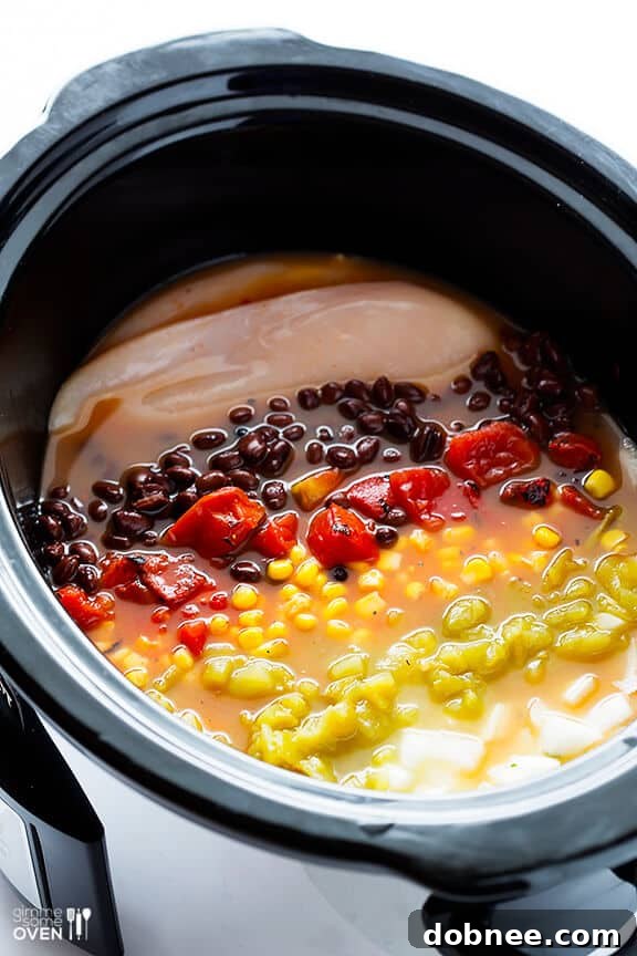 Slow Cooker Chicken Enchilada Soup | Hearty and Flavorful