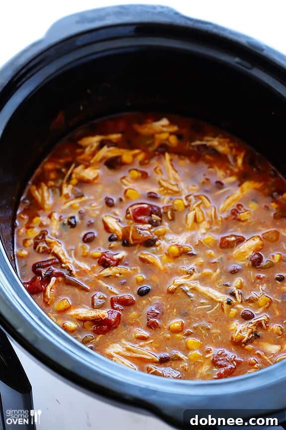 Slow Cooker Chicken Enchilada Soup | Cooking Process