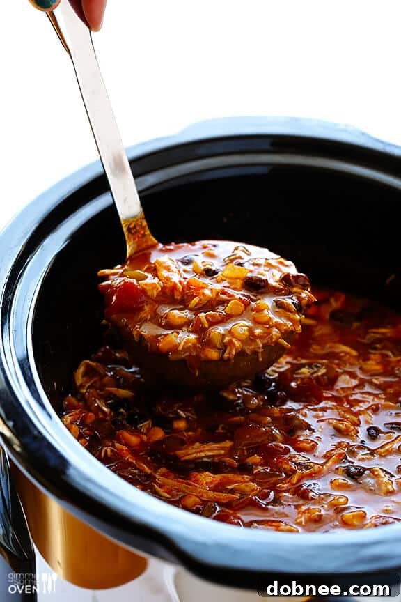 Slow Cooker Chicken Enchilada Soup | Shredded Chicken