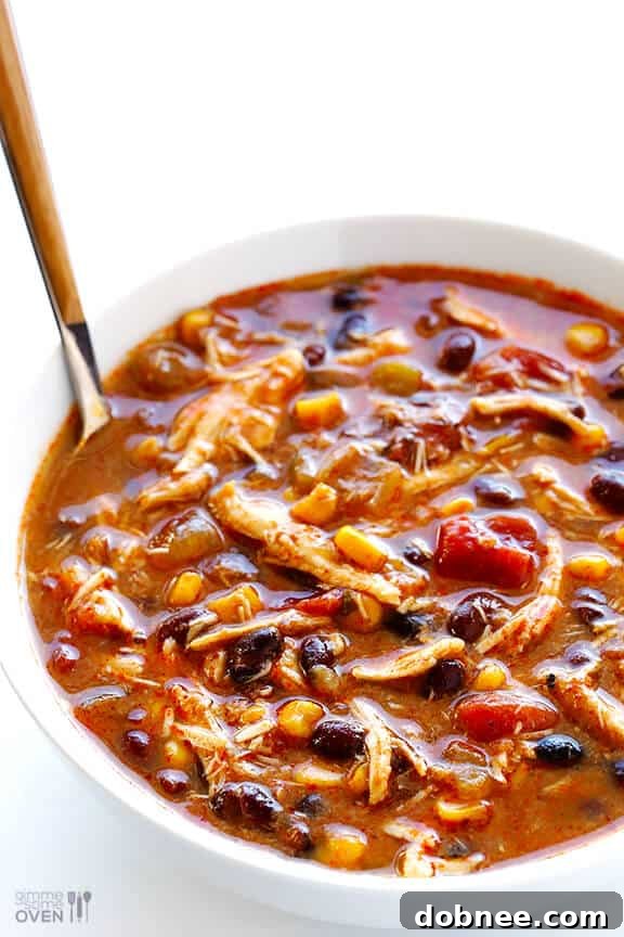 Slow Cooker Chicken Enchilada Soup | Plain Serving