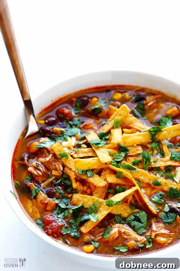 Slow Cooker Chicken Enchilada Soup | Garnished Serving