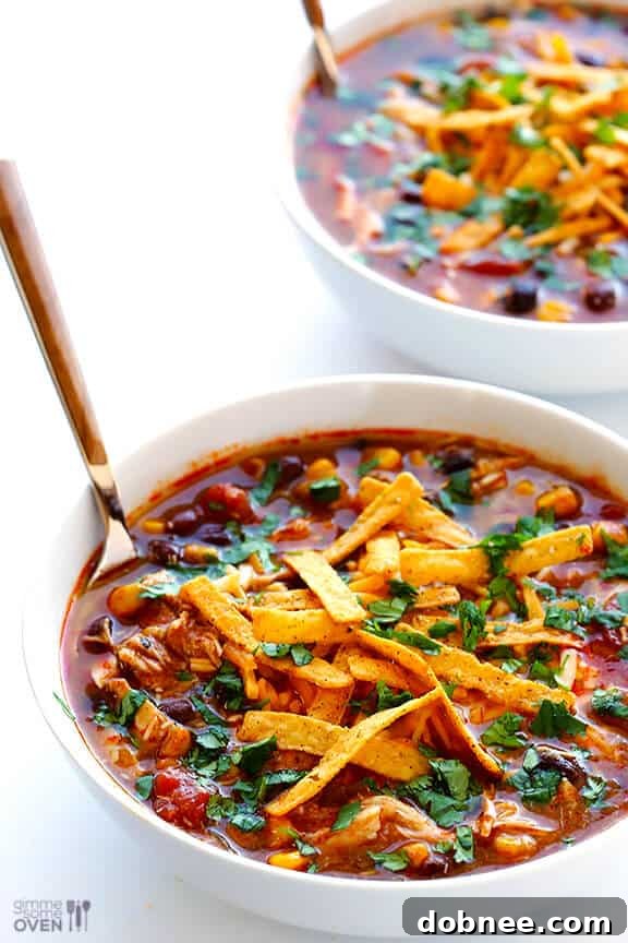 Slow Cooker Chicken Enchilada Soup | Best Crockpot Recipe