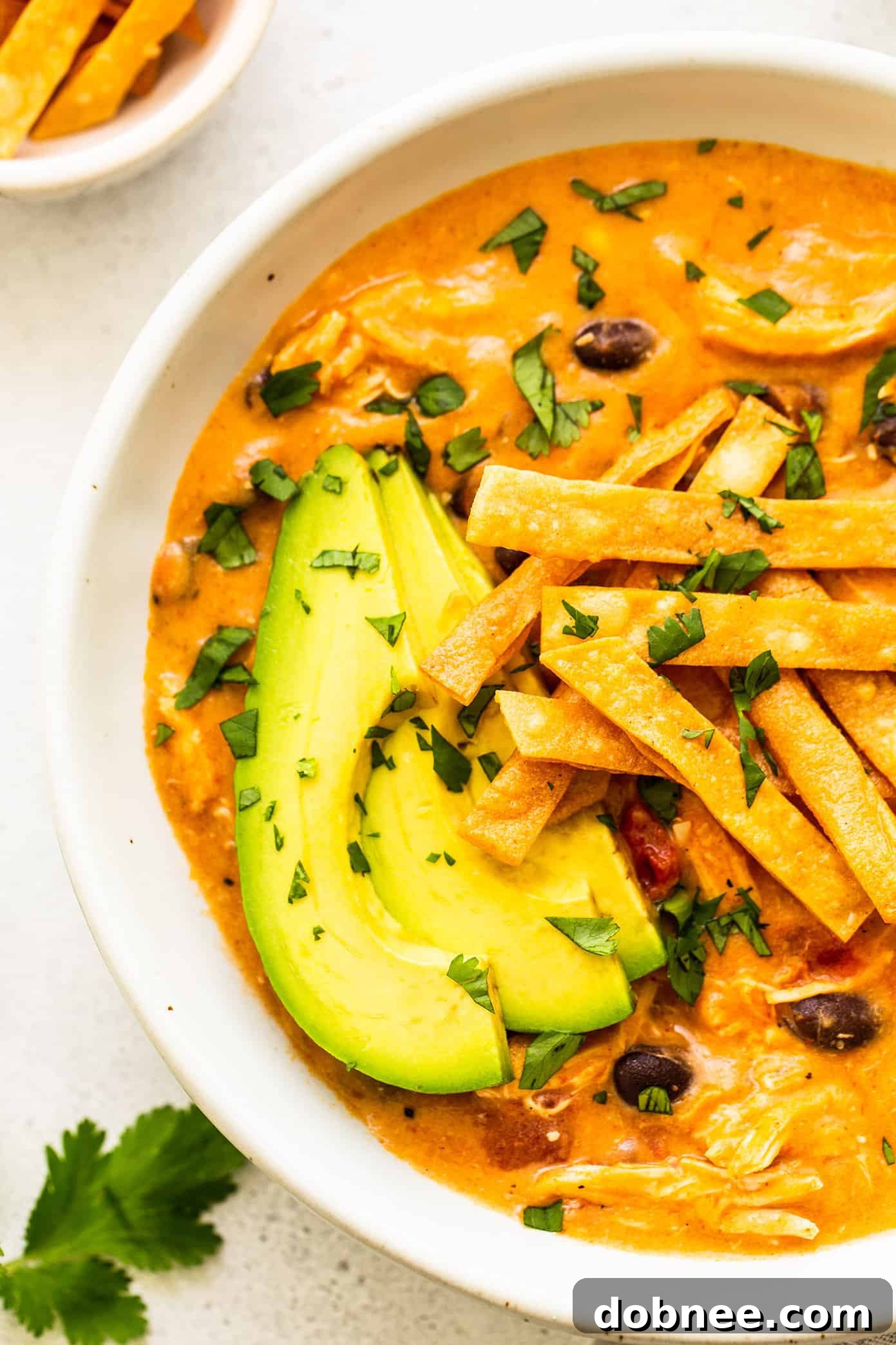 Delicious Cheesy Chicken Enchilada Soup with fresh toppings