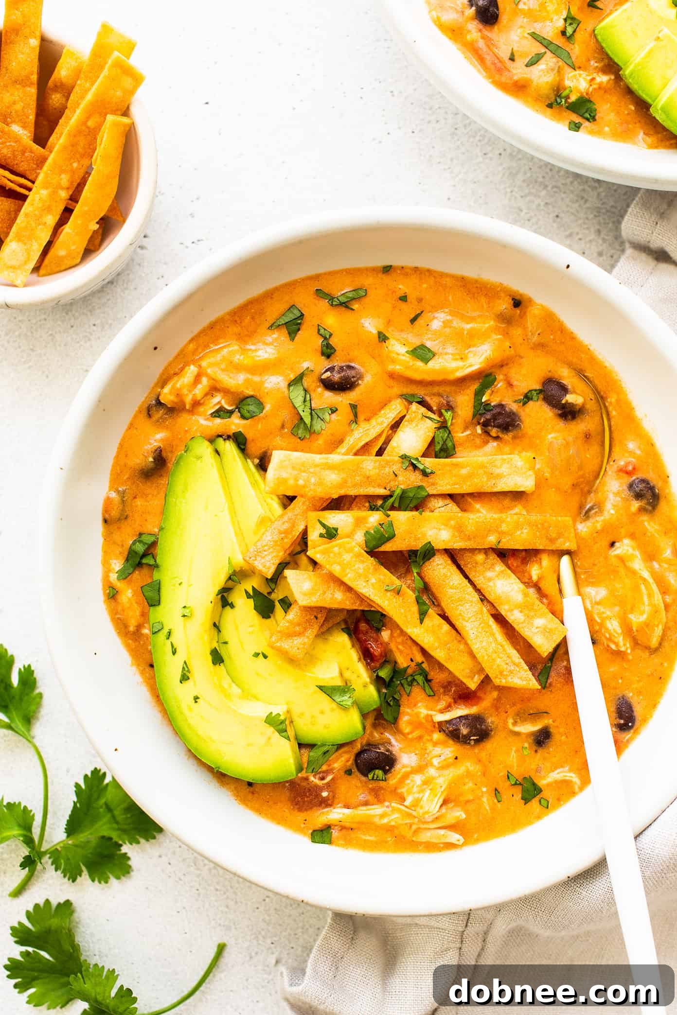 Ingredients for Cheesy Chicken Enchilada Soup laid out on a counter