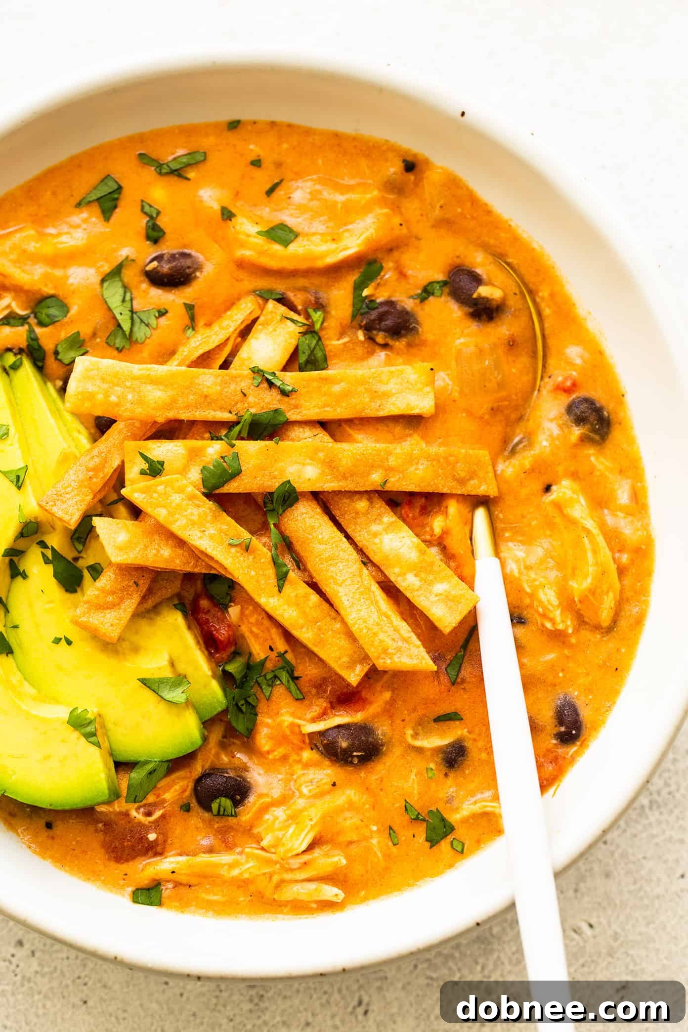 Finished bowl of Cheesy Chicken Enchilada Soup garnished with cilantro and avocado