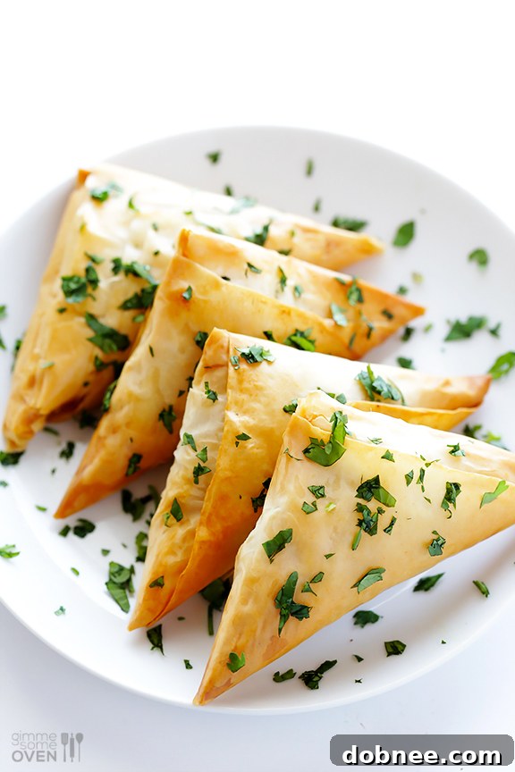 How To Make Baked Samosas (2 Ways!) | gimmesomeoven.com