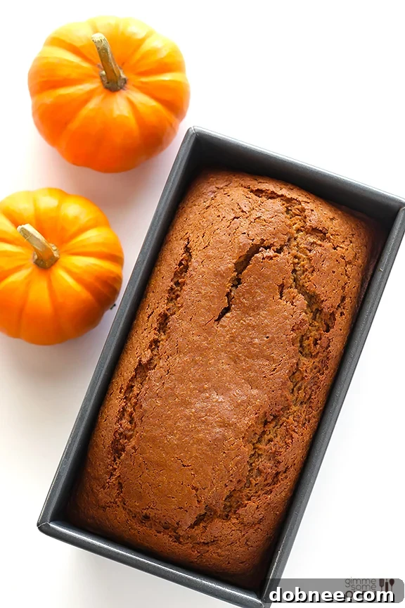 Freshly baked Coconut Oil Pumpkin Bread on a cooling rack, highlighting its moist texture